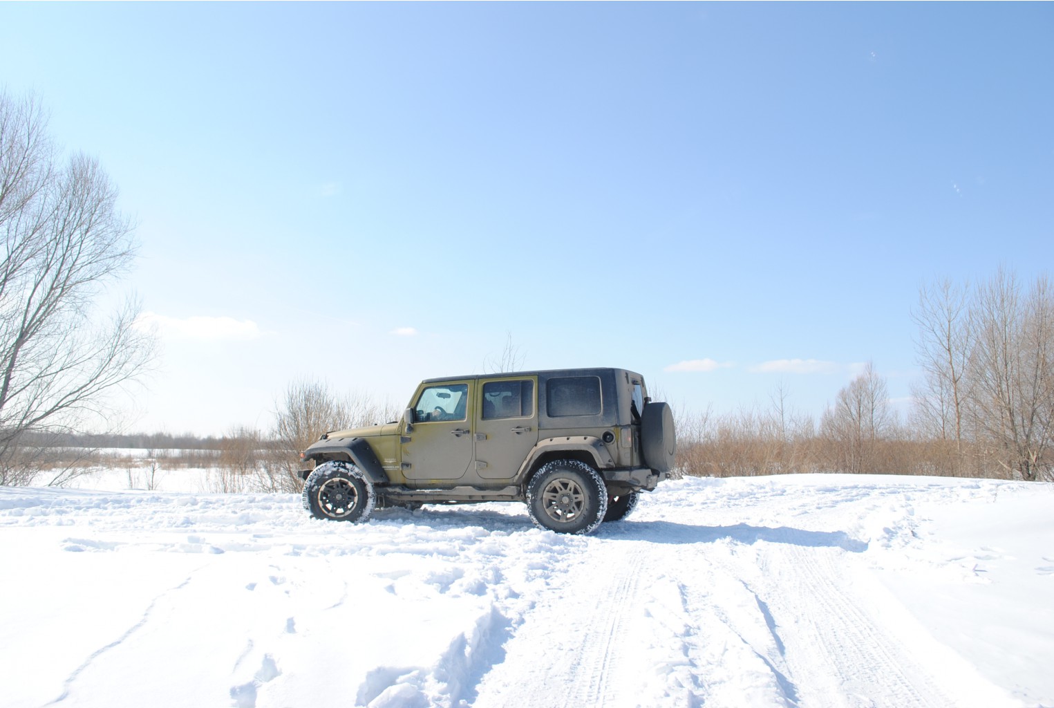 DSC_0202.jpg