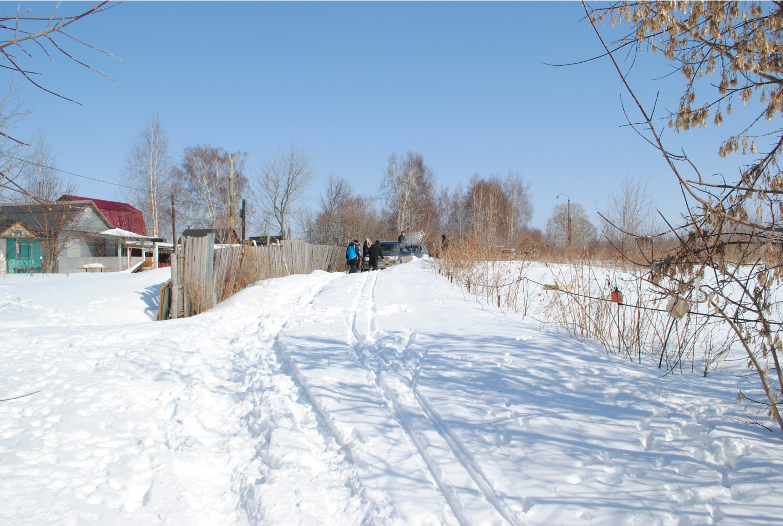 DSC_0225.jpg