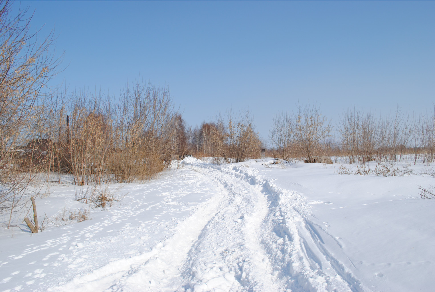 DSC_0331.jpg