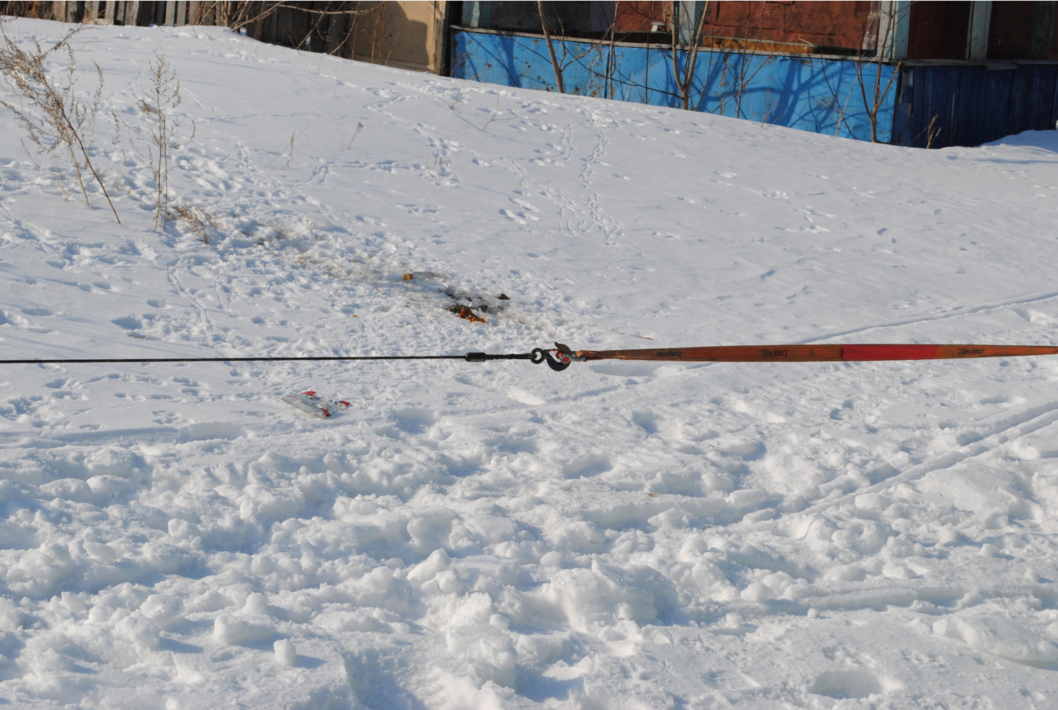 DSC_0357.jpg
