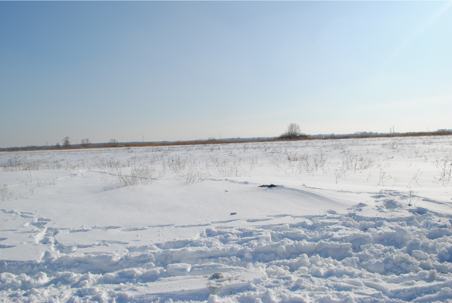 DSC_0410.jpg