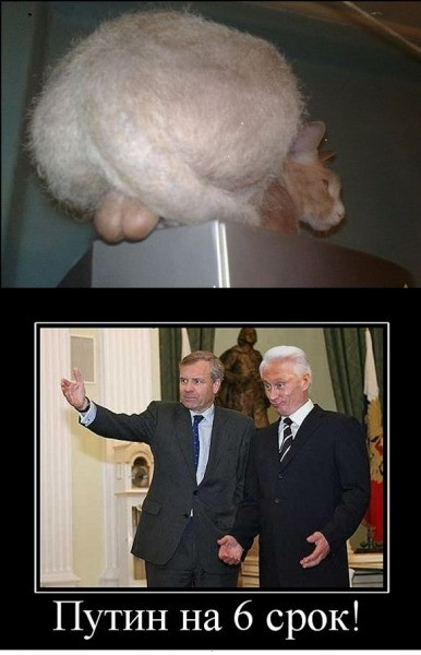 6 .jpg
