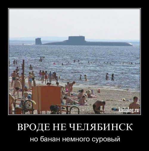.jpg