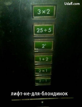 .jpg