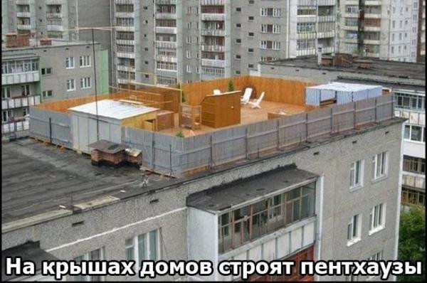 .jpg