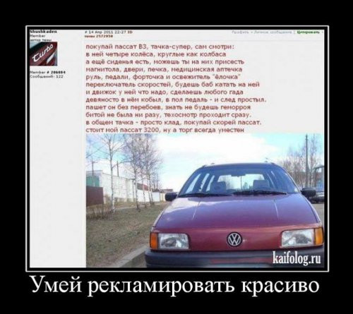 .jpg