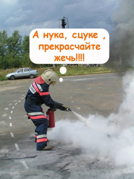  .jpg