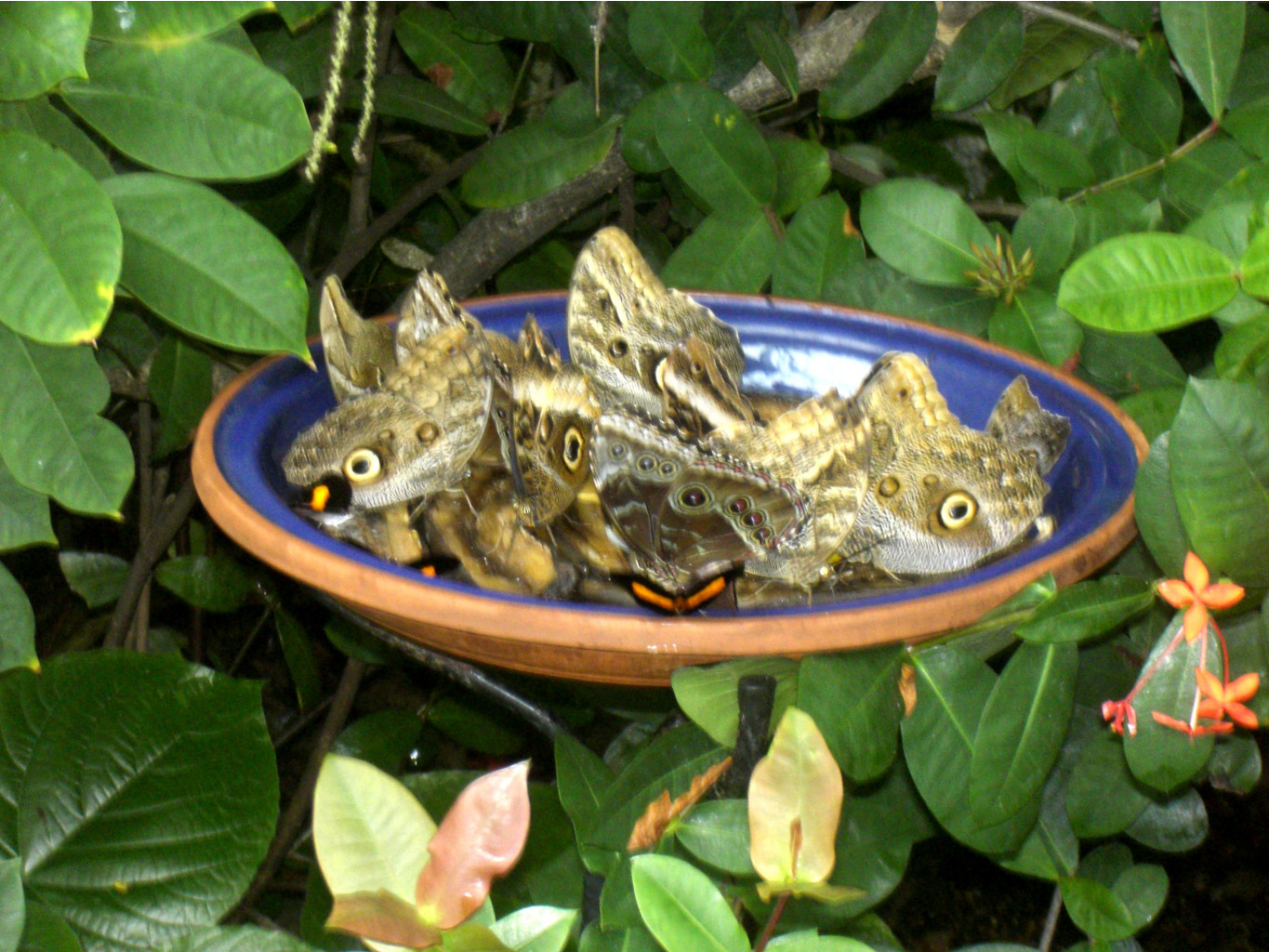 22.03.2008 14:45:52