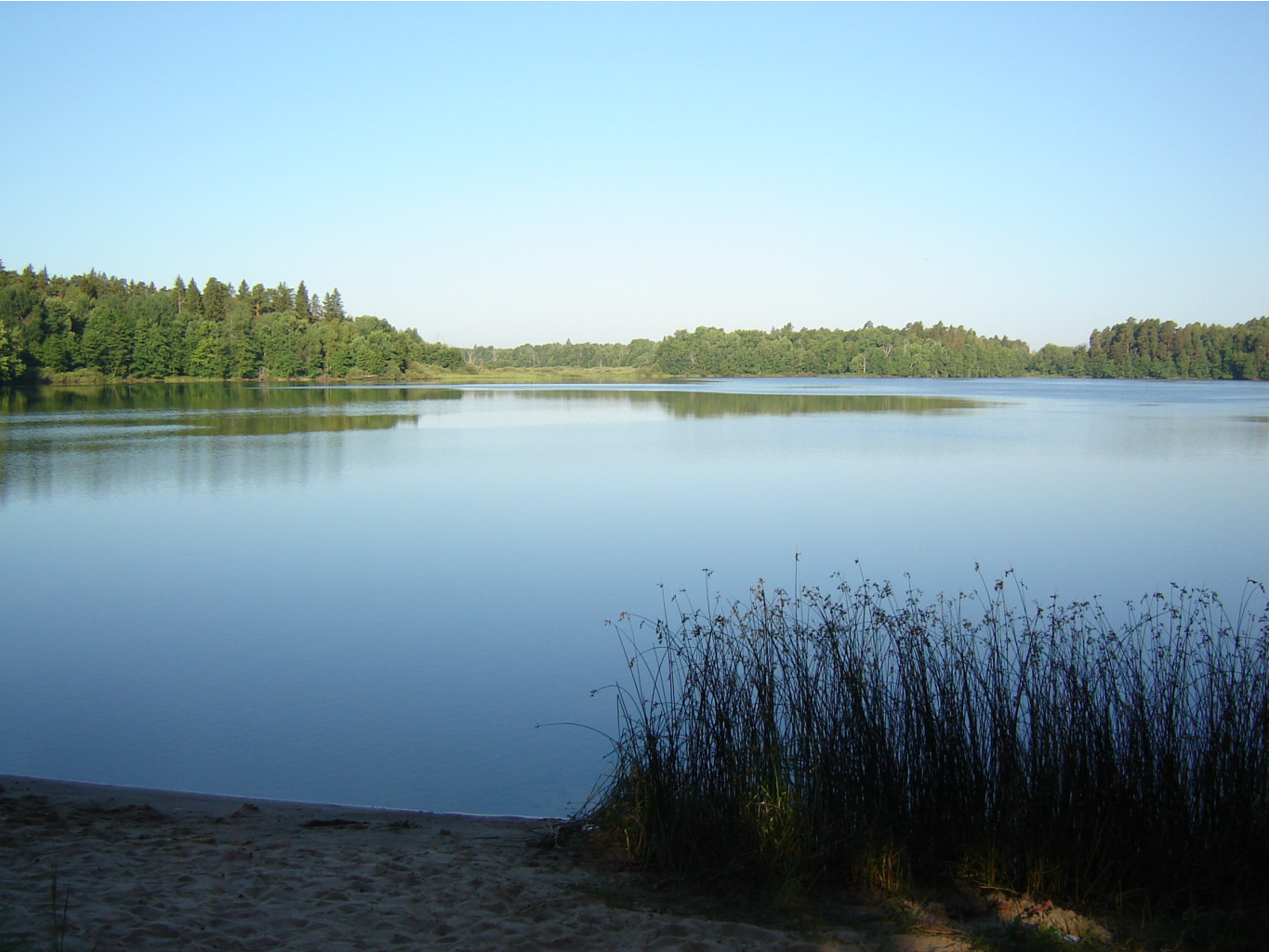 DSC07488.JPG