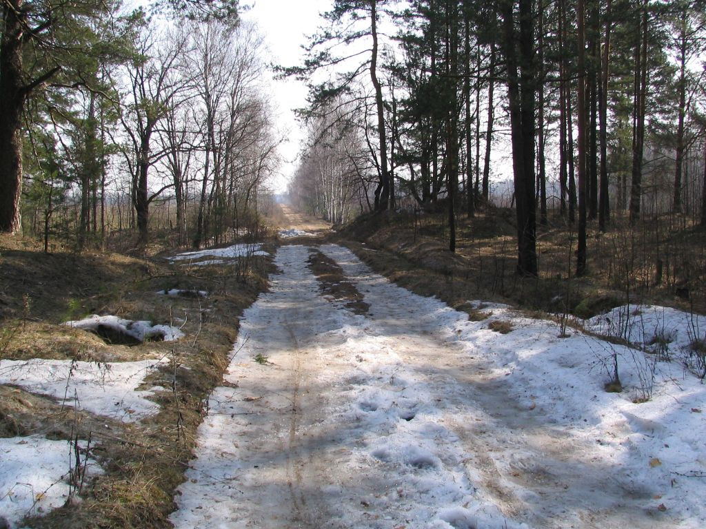 06.04.2008 0:09:55
