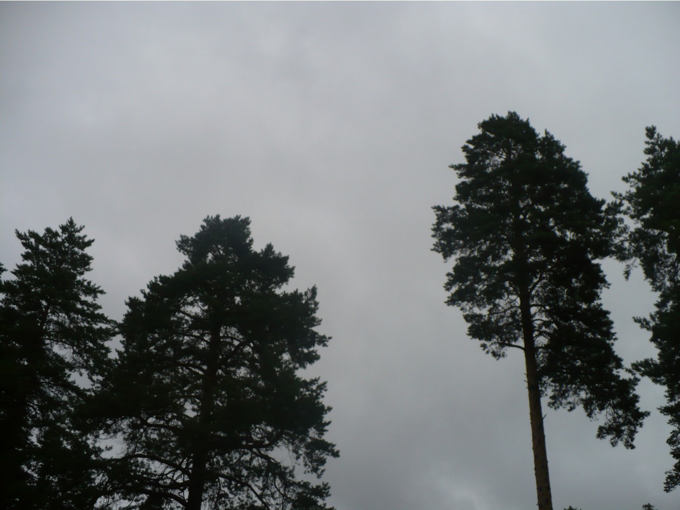 P1070317.JPG