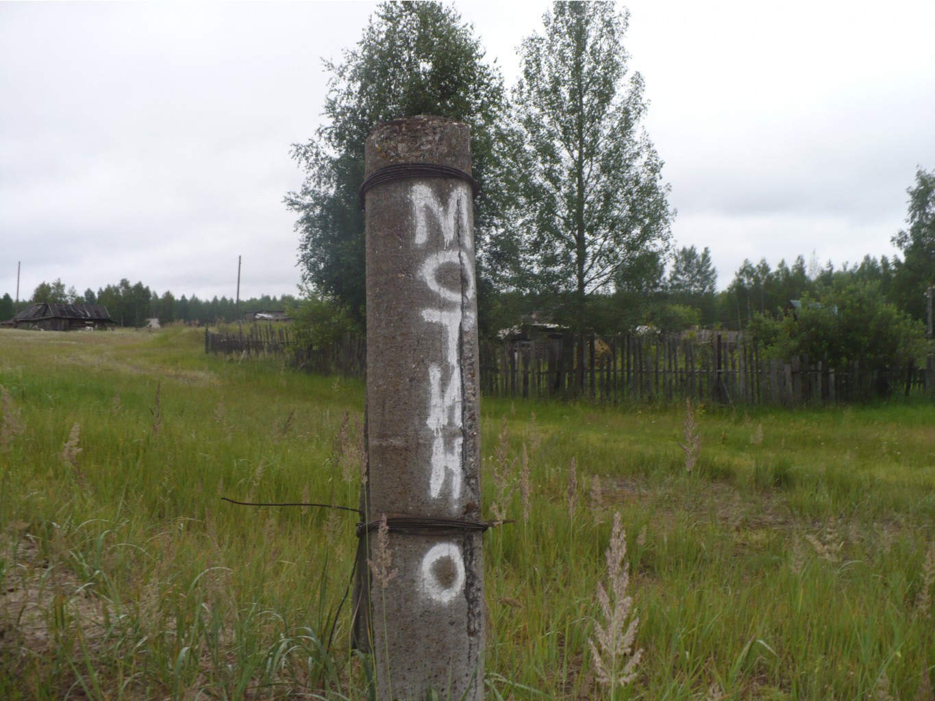 P1070324.JPG