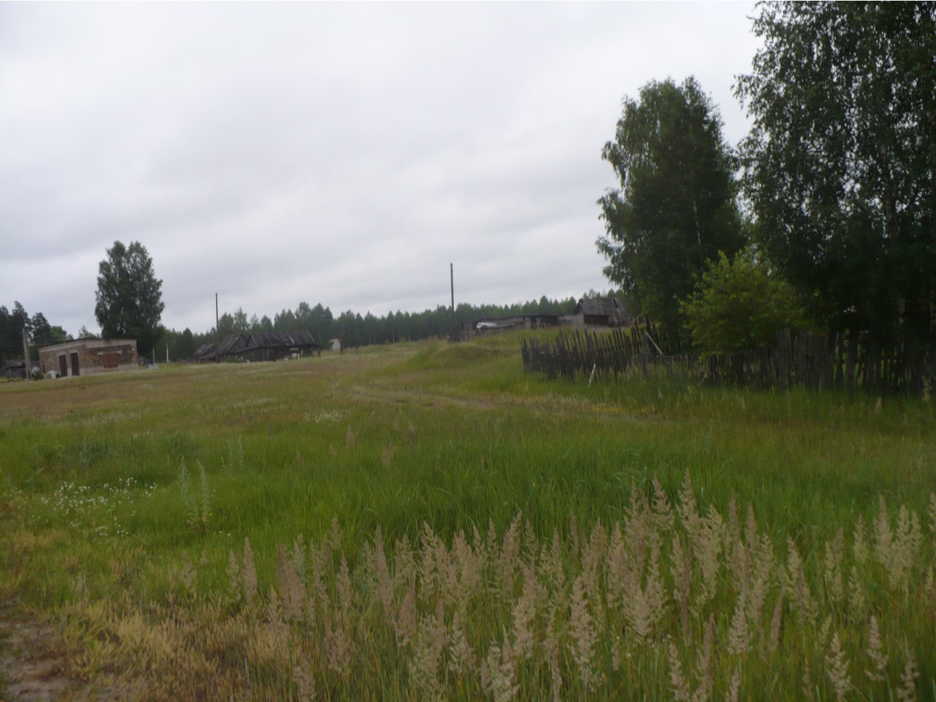 P1070325.JPG