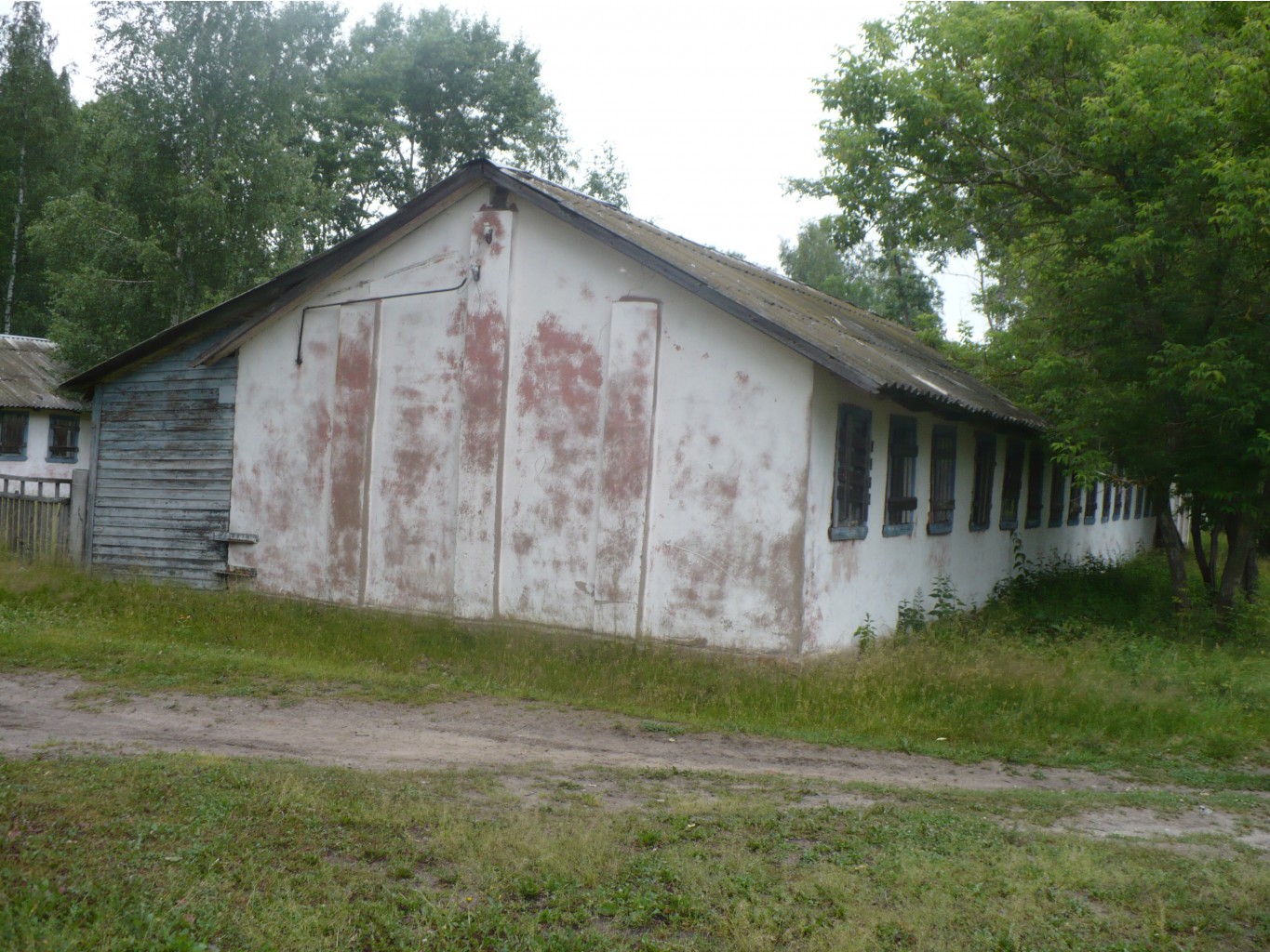 P1070334.JPG
