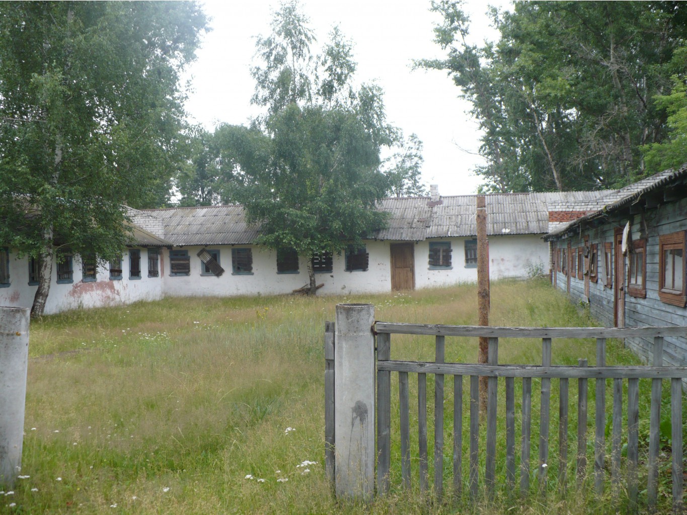 P1070336.JPG