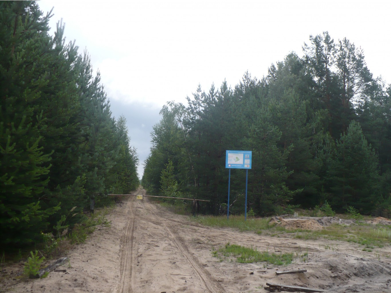 P1070346.JPG