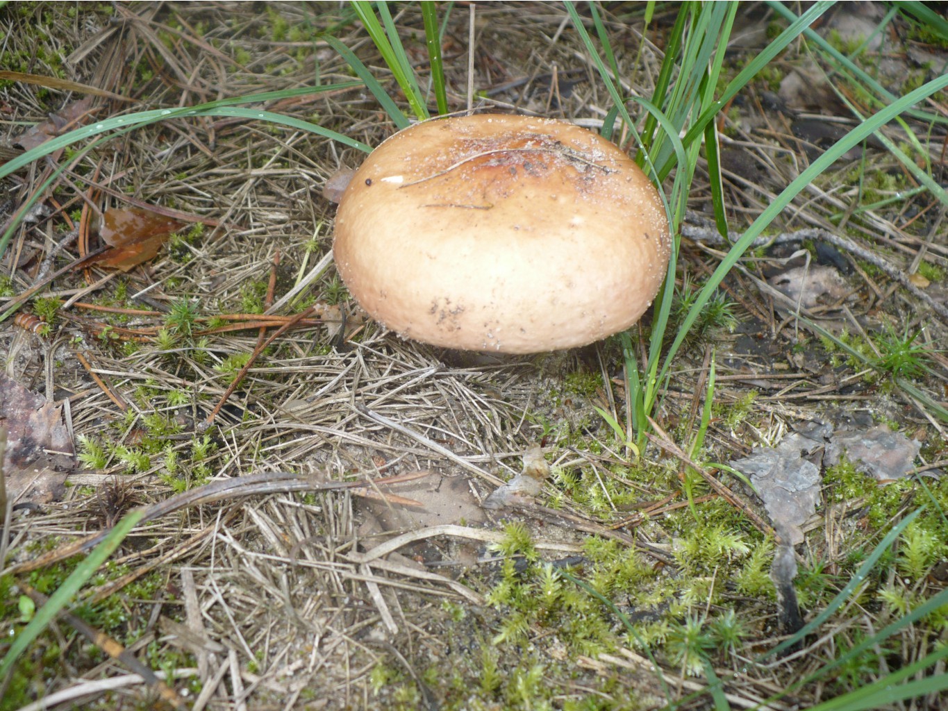P1070349.JPG