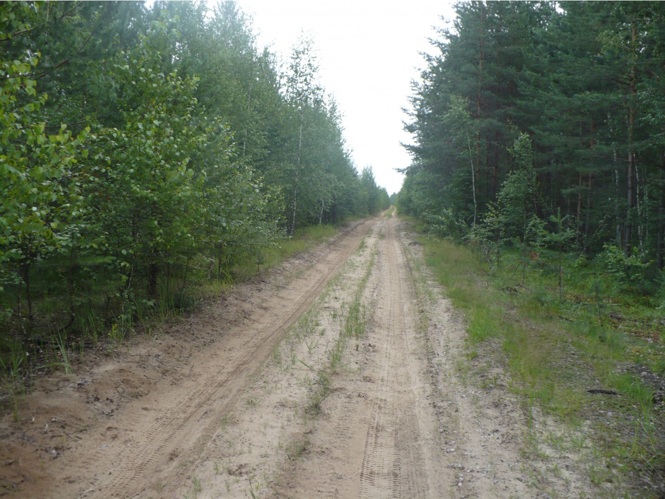P1070355.JPG