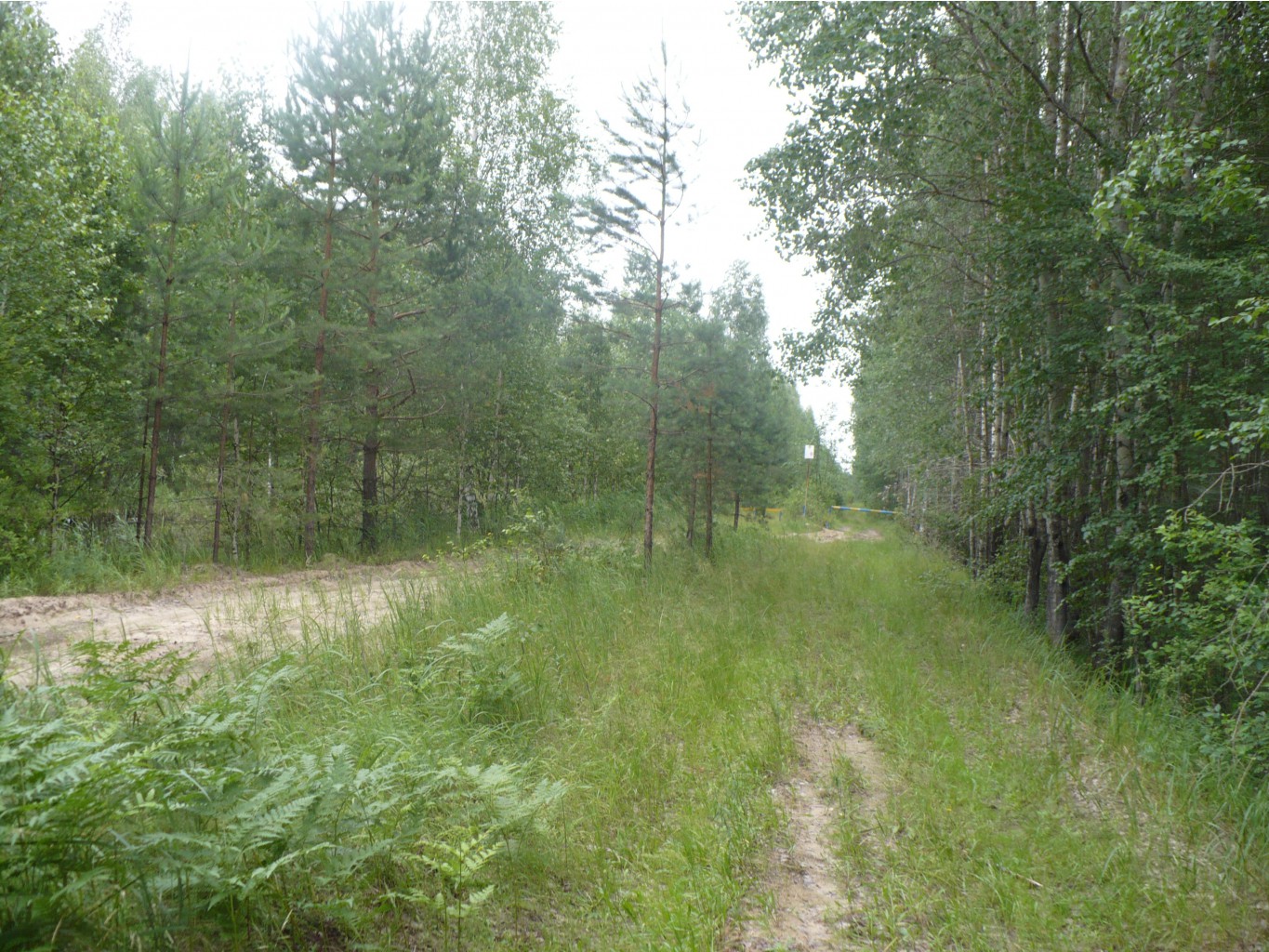 P1070369.JPG