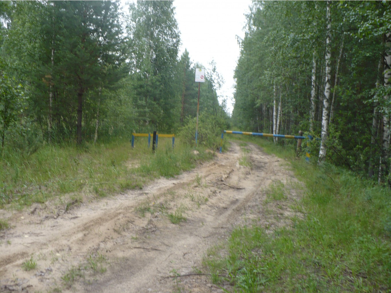 P1070370.JPG
