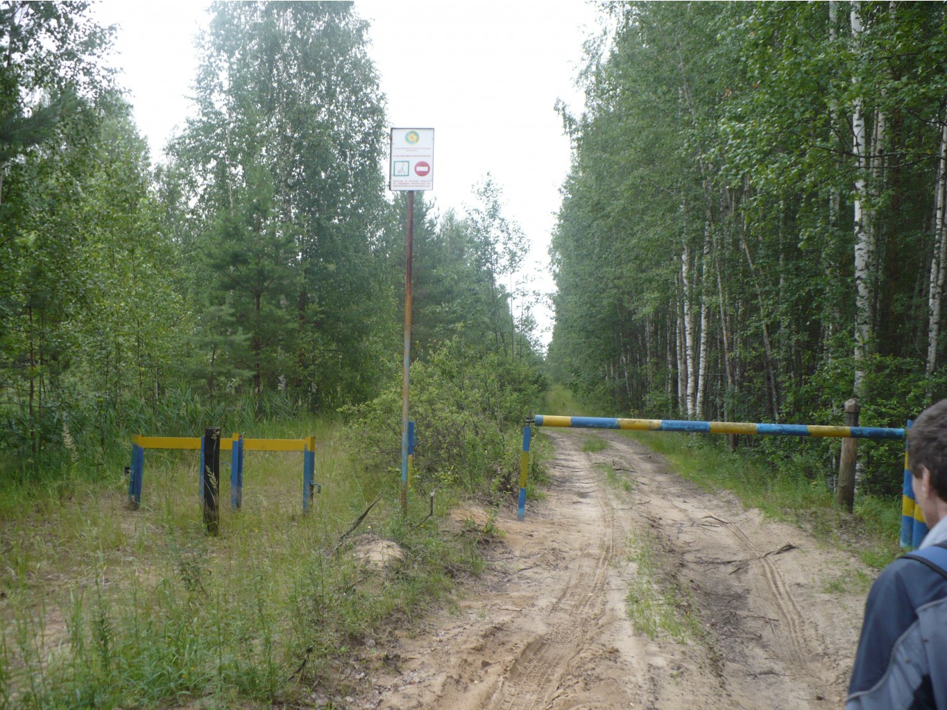 P1070371.JPG