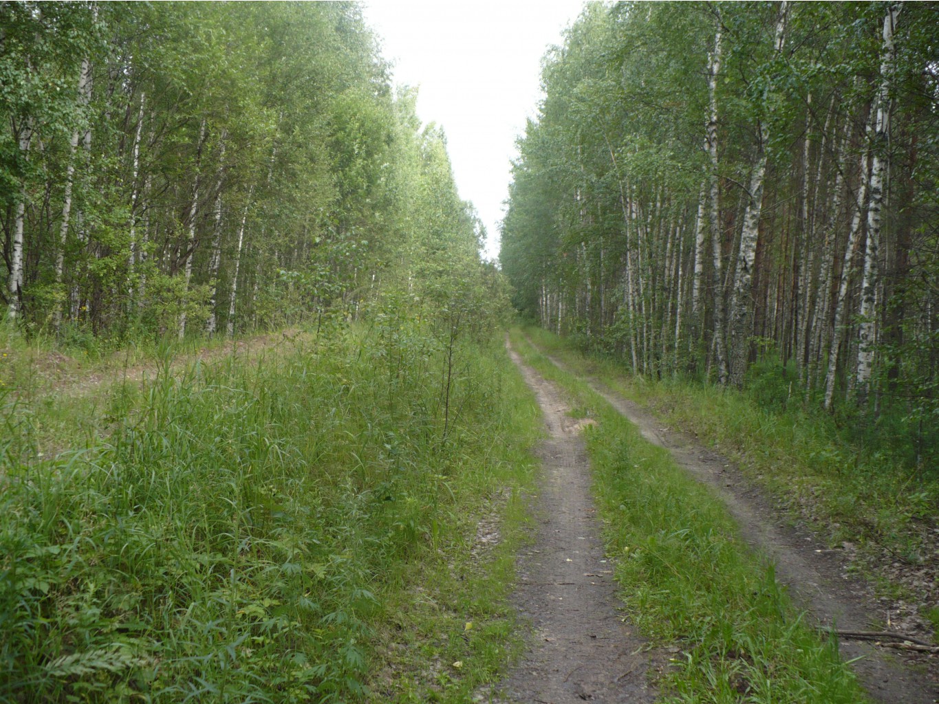 P1070379.JPG