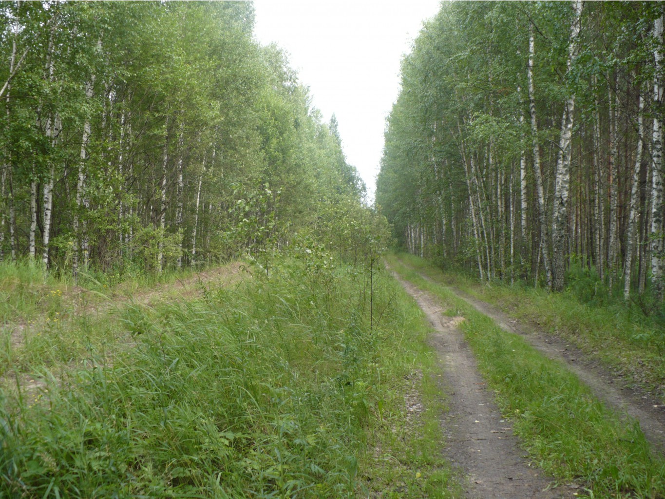 P1070380.JPG