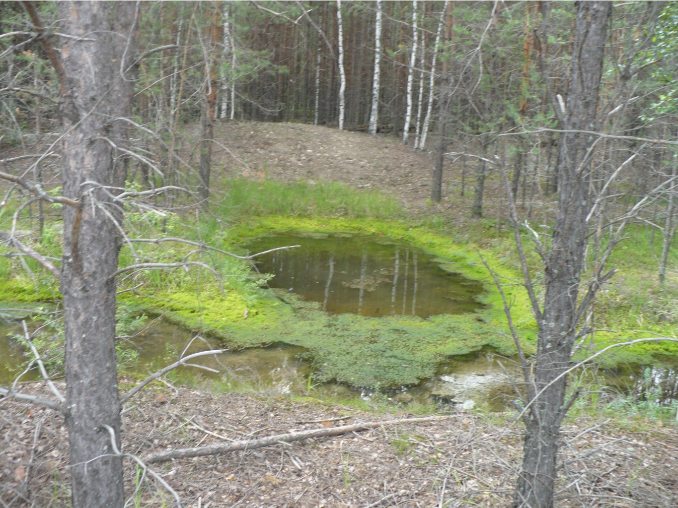 P1070384.JPG