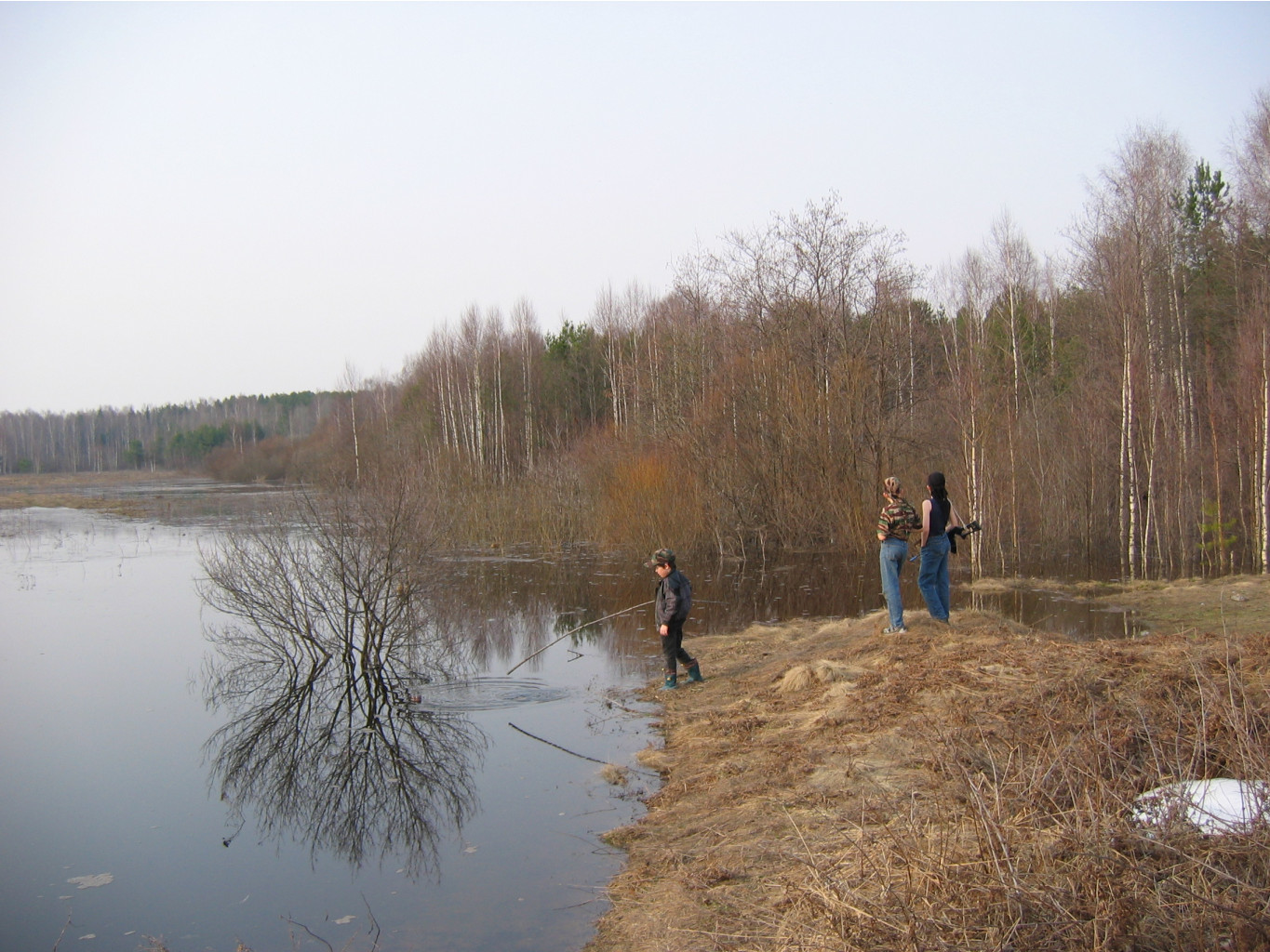 07.04.2008 13:09:26