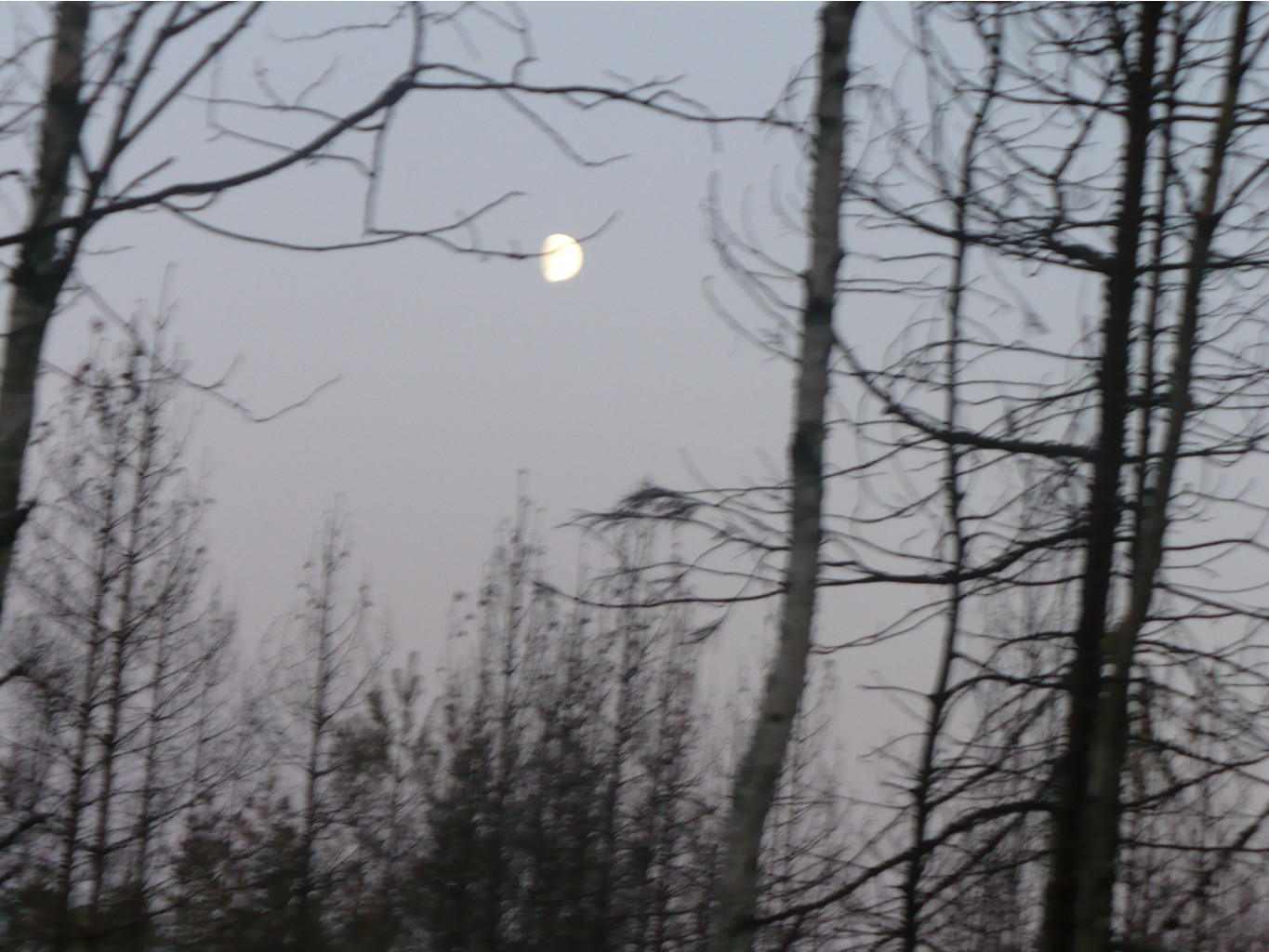 P1070390.JPG