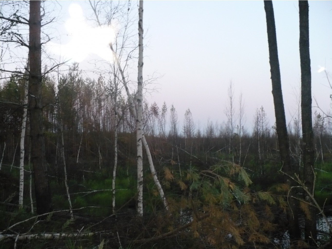 P1070392.JPG