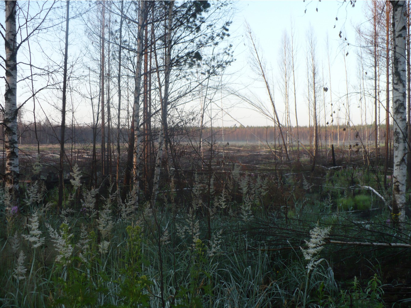 P1070412.JPG
