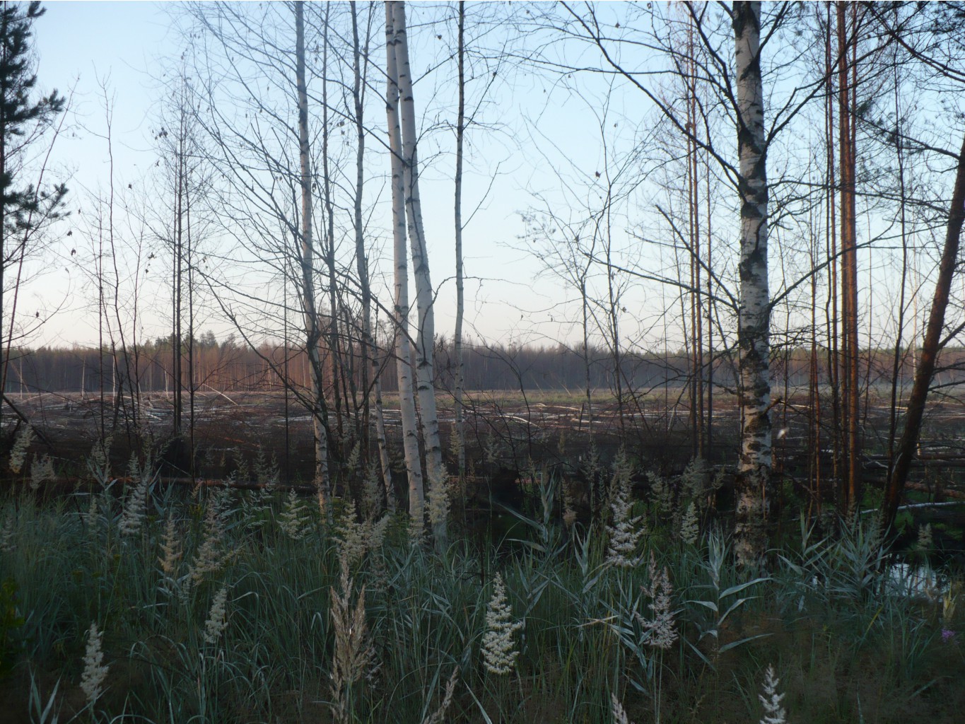 P1070413.JPG