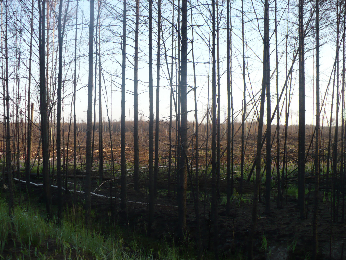 P1070415.JPG