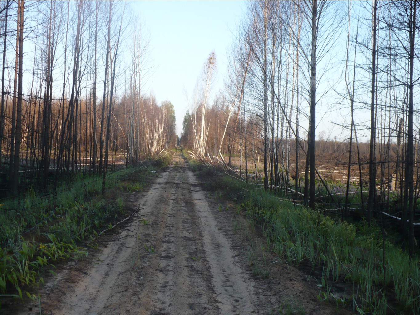 P1070417.JPG