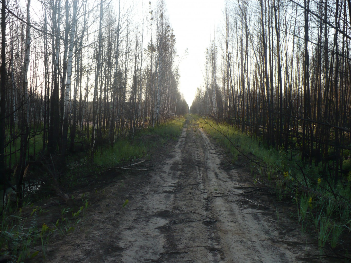 P1070418.JPG
