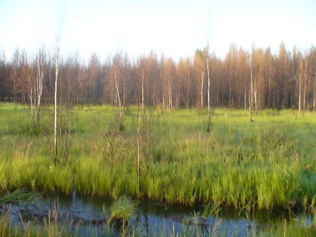 P1070419.JPG