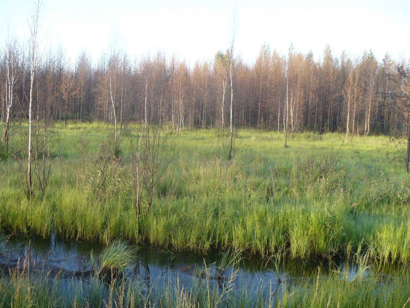P1070420.JPG