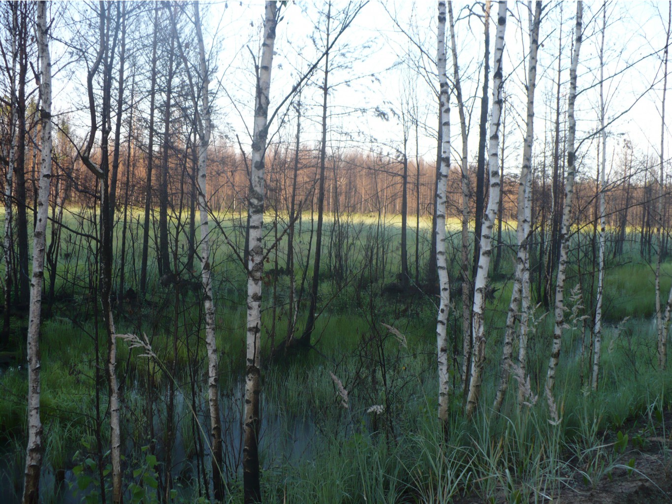 P1070424.JPG