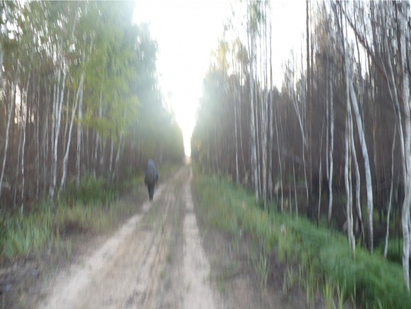 P1070425.JPG