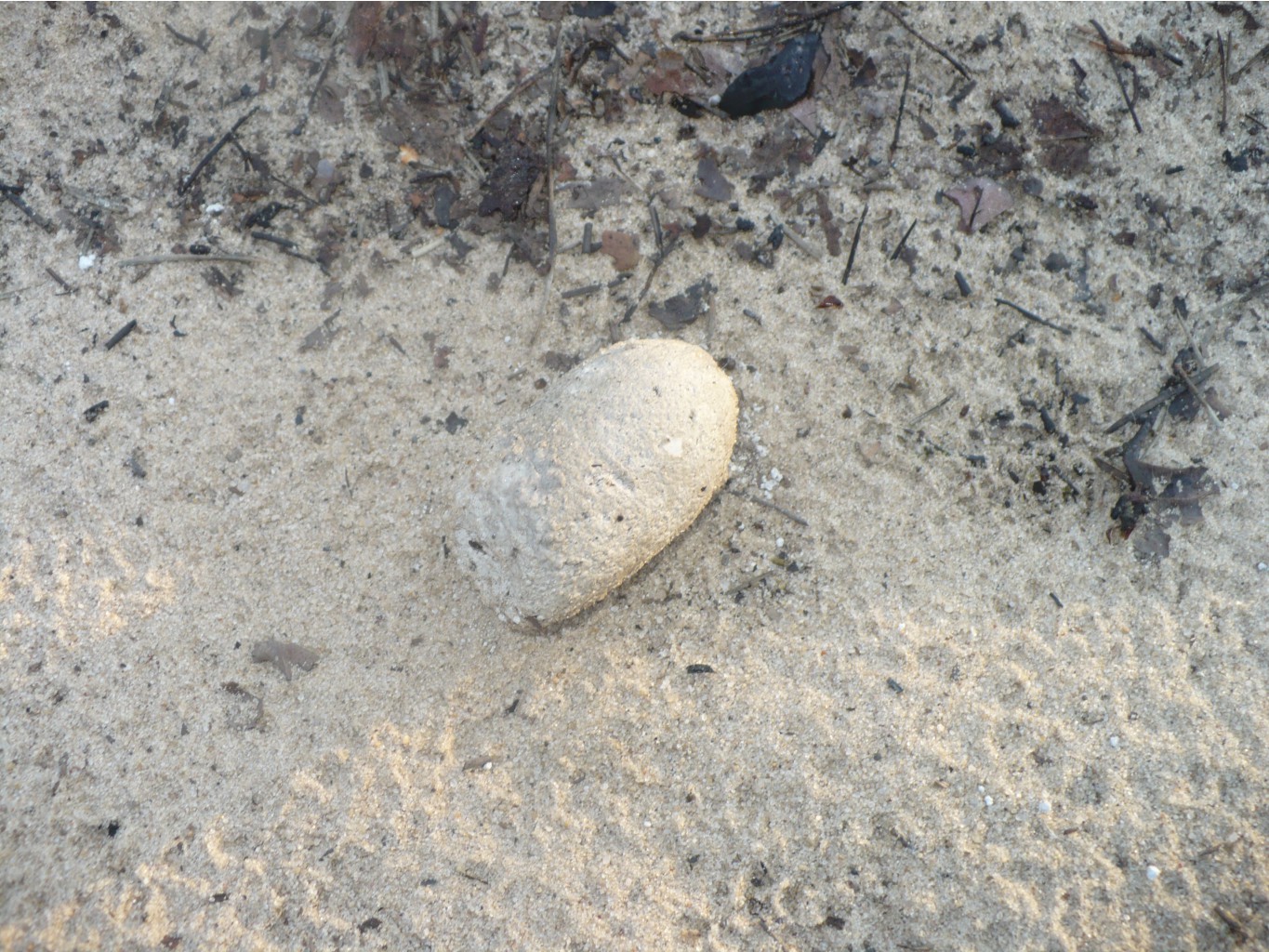 P1070426.JPG