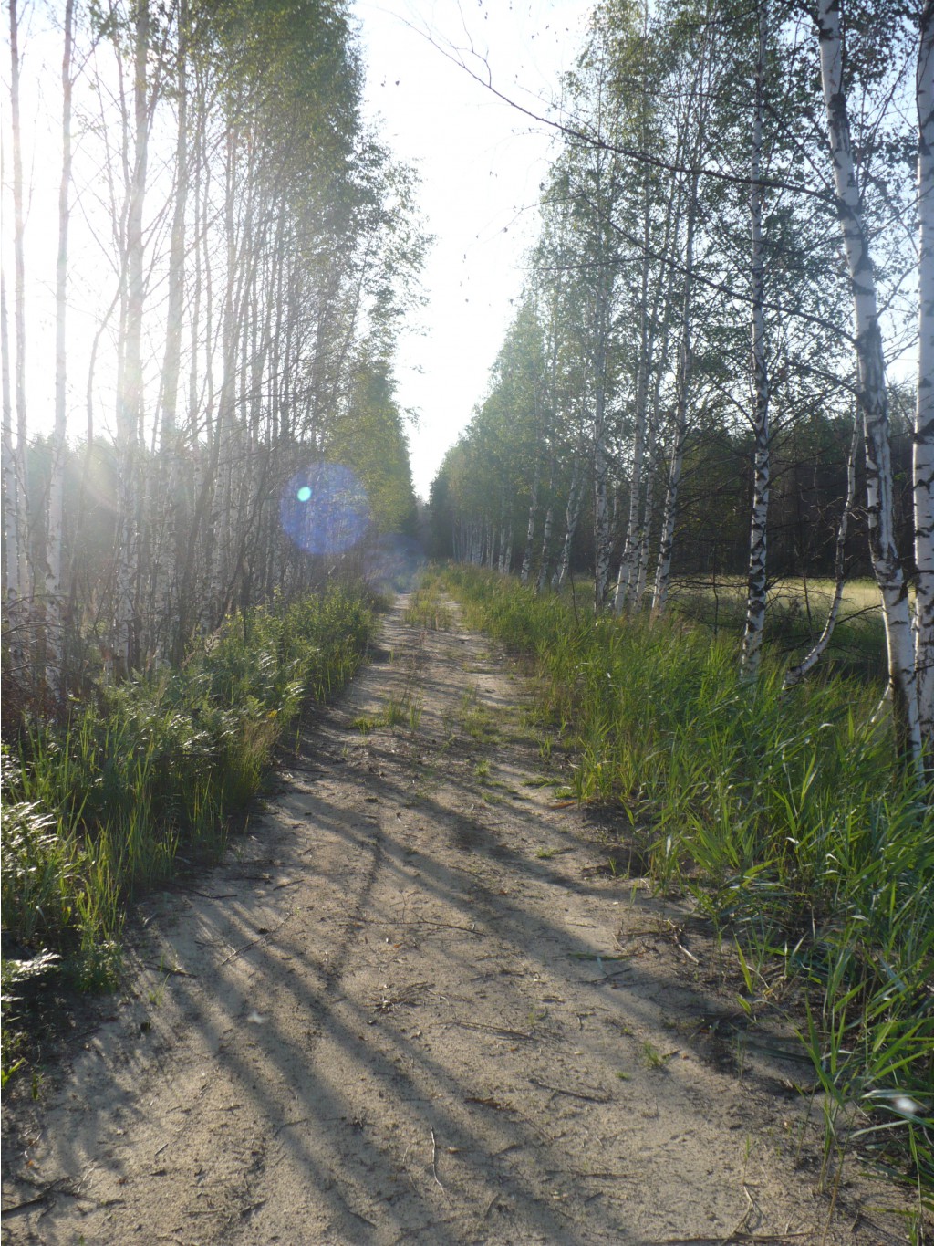 P1070433.JPG