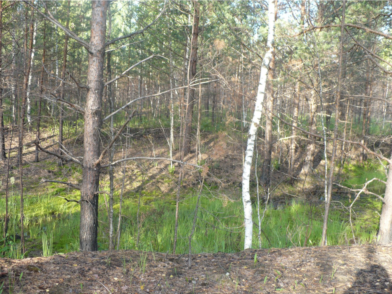 P1070447.JPG