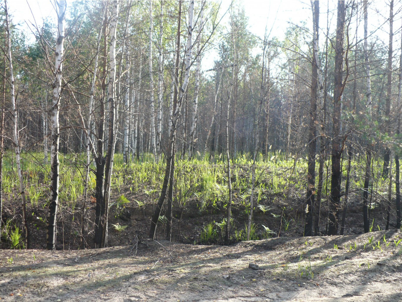P1070448.JPG