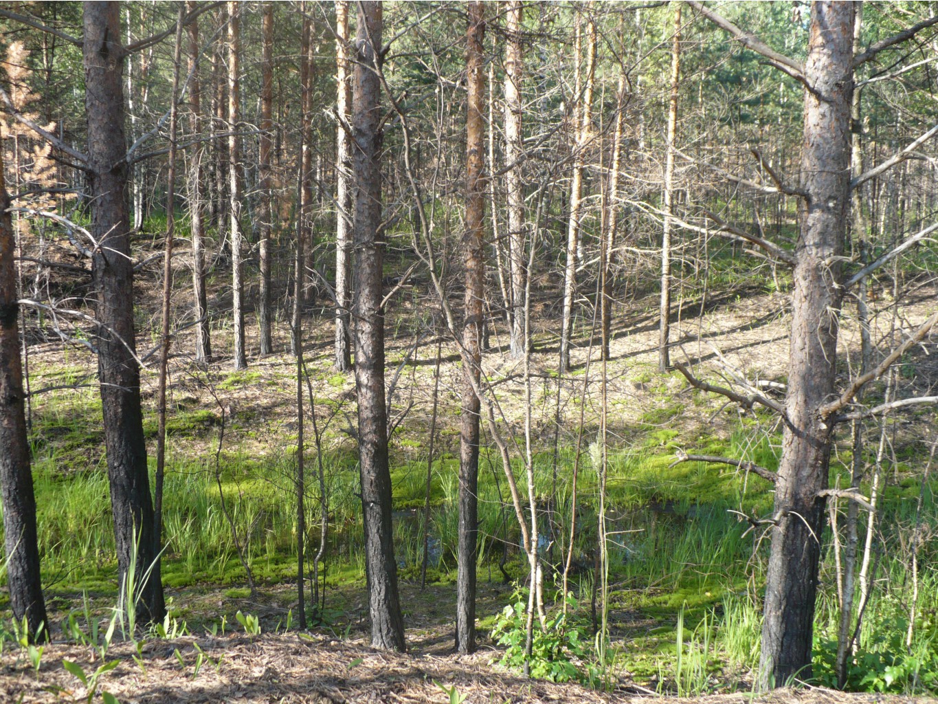 P1070453.JPG