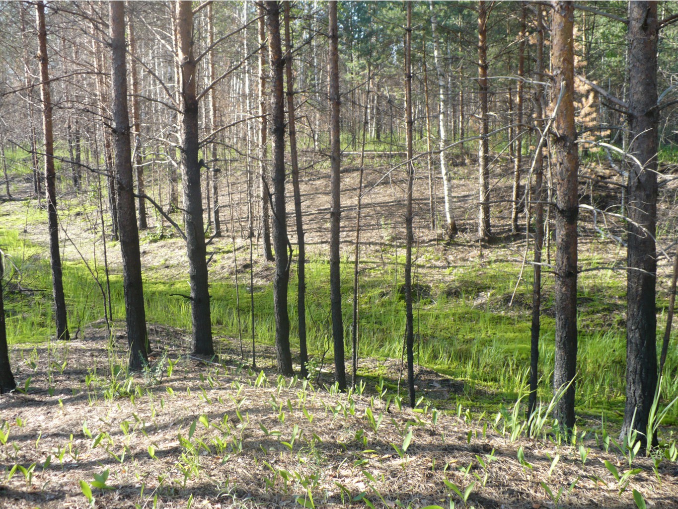 P1070454.JPG
