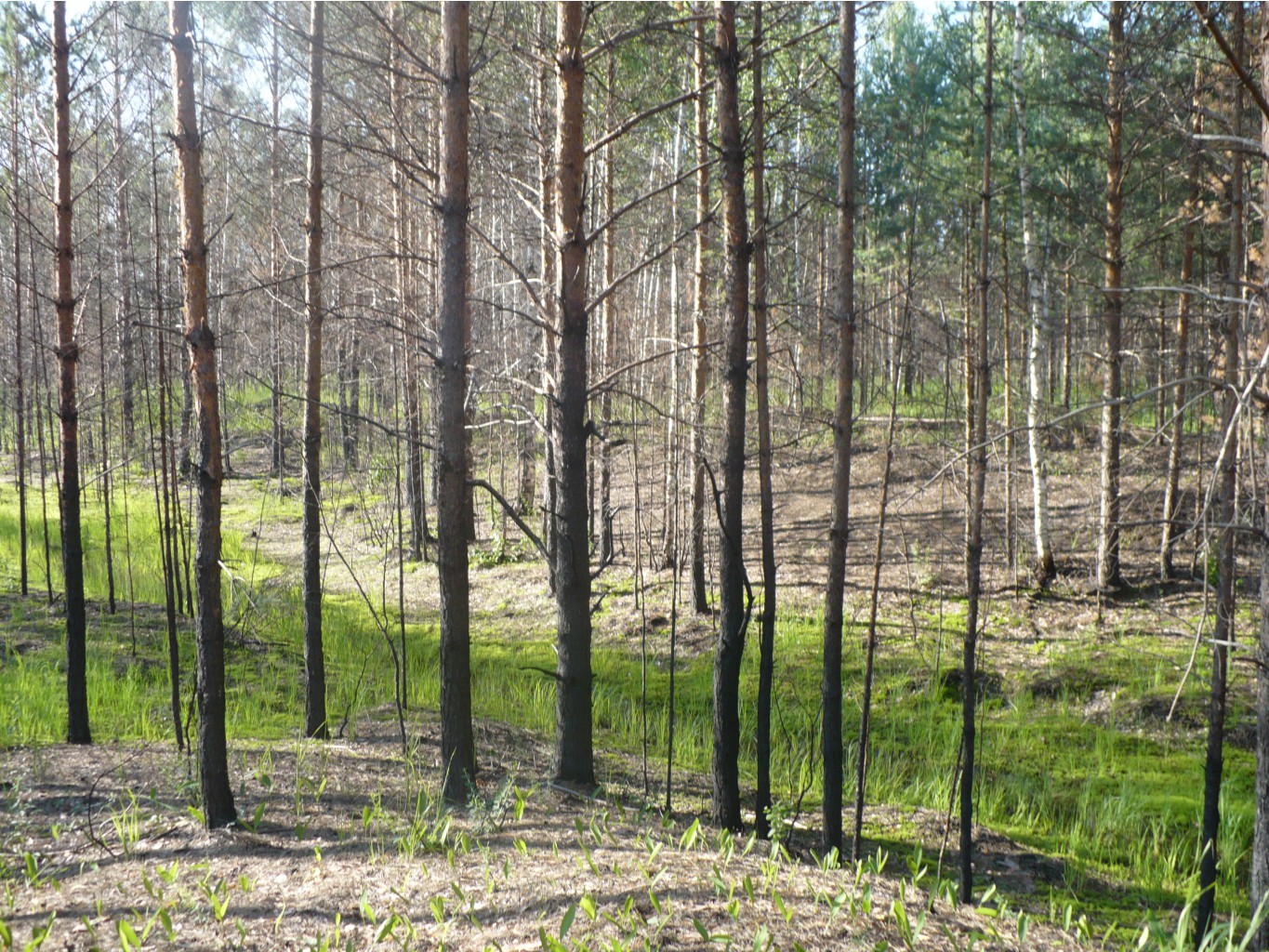 P1070455.JPG
