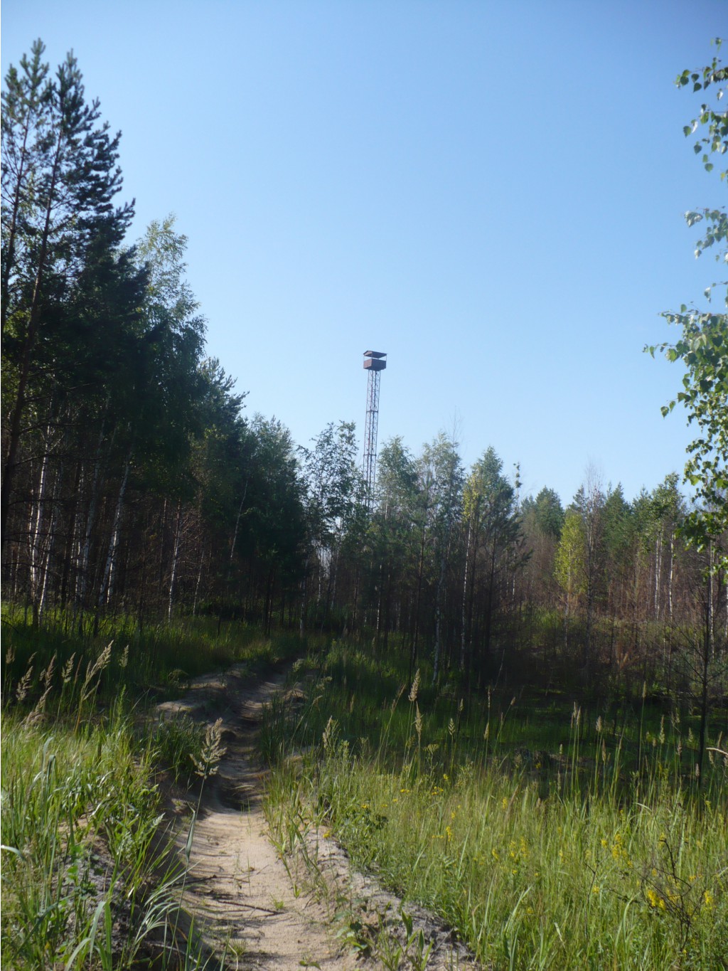 P1070471.JPG