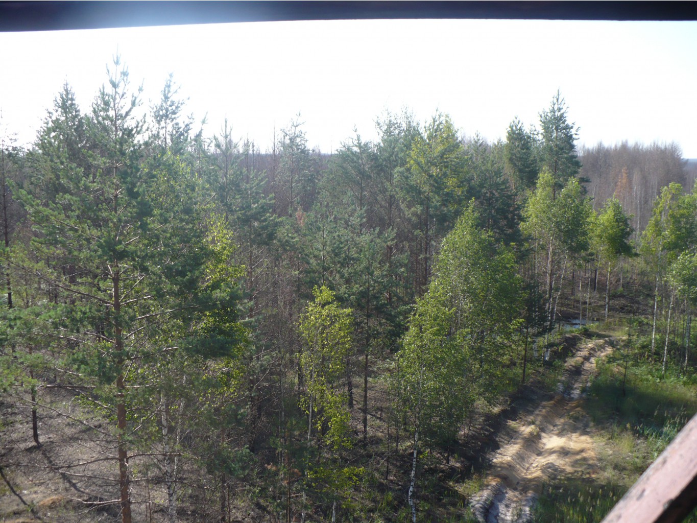 P1070475.JPG