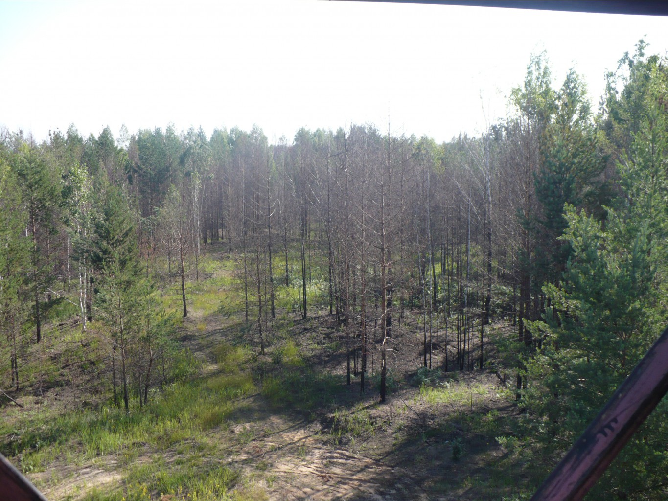 P1070476.JPG